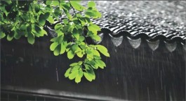 夏天，故乡听雨（外一首）