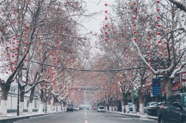 雪和春天约会