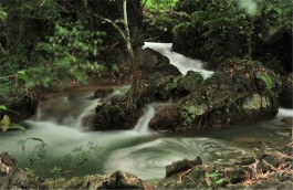 山谷小溪盛夏凉