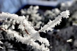 从前雪（外一章）