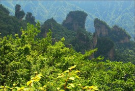 《魅力散花》序