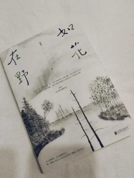 自然和人性之美的守望———读《如花在野,热烈温柔》