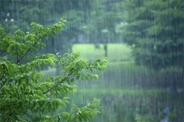 雨天漫读记