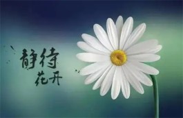 静待花开