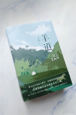 颠簸的日子闪亮过——读《羊道：深山夏牧场》