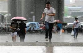 奔跑的雨