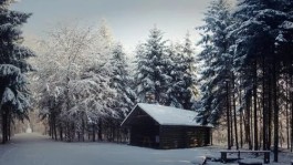 人生的两场大雪