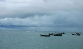 落进大海的雨，变成了什么？——读广西诗人庞白诗集《落进大海的雨》