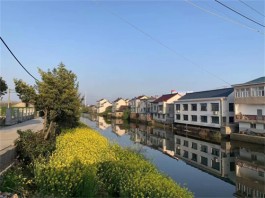 乡村新景（外二首）