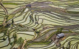 冬田空