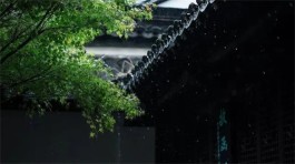 听雨