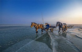 查干湖流进记忆