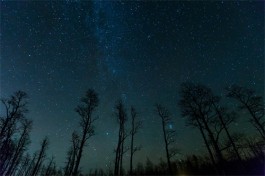 夜空中的星星