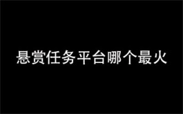 悬赏任务平台哪个最火？目前排名前二的悬赏任务平台