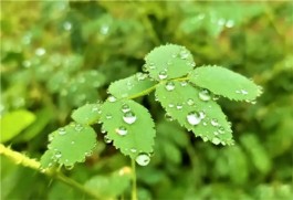 暴风骤雨