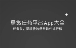 十大悬赏任务平台排行榜是那些，最新任务多提现快的悬赏软件排行榜