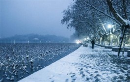 雪终于落下来了