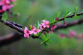 春风就在屋东头