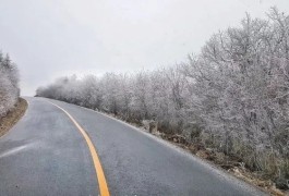 雪中相暖热