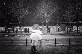 一场风雨