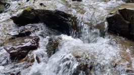 夏日山泉水