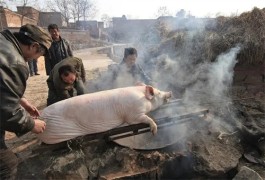 杀年猪