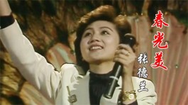 流年春光美