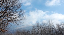 小雪，一片飞来一片寒