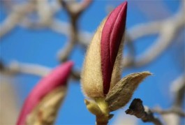 零食与下午茶