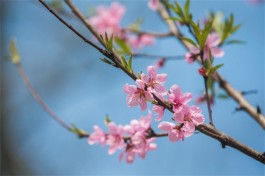 让平凡的日子开出花来