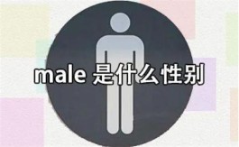 male是什么性别（male和female是什么意思）