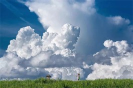 陪孩子看天空，其实是一种学习