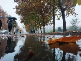 岭南冬雨