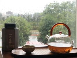 雨天留客闲饮茶