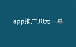 app推广30元一单（2个比较适合单干赚钱的手机项目）