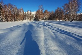 寂静的雪