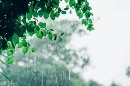 梅雨